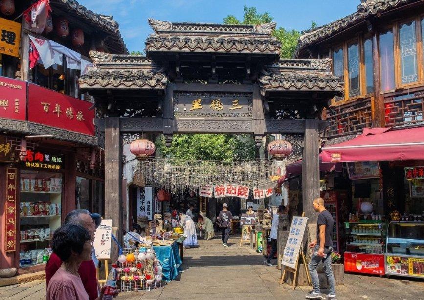 一场持续1780天的实验:8只老鼠,真的预知了人类的未来?