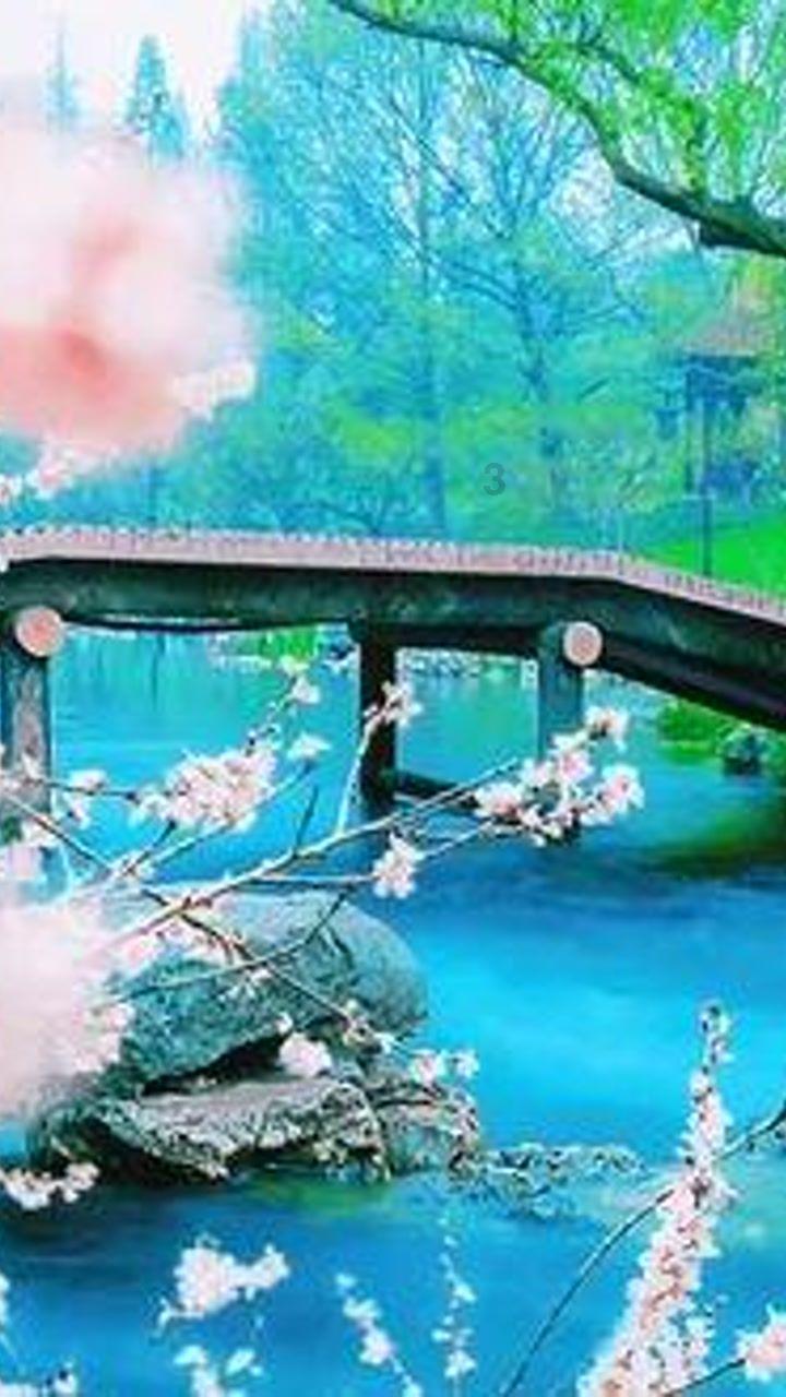 死神境界大冒险