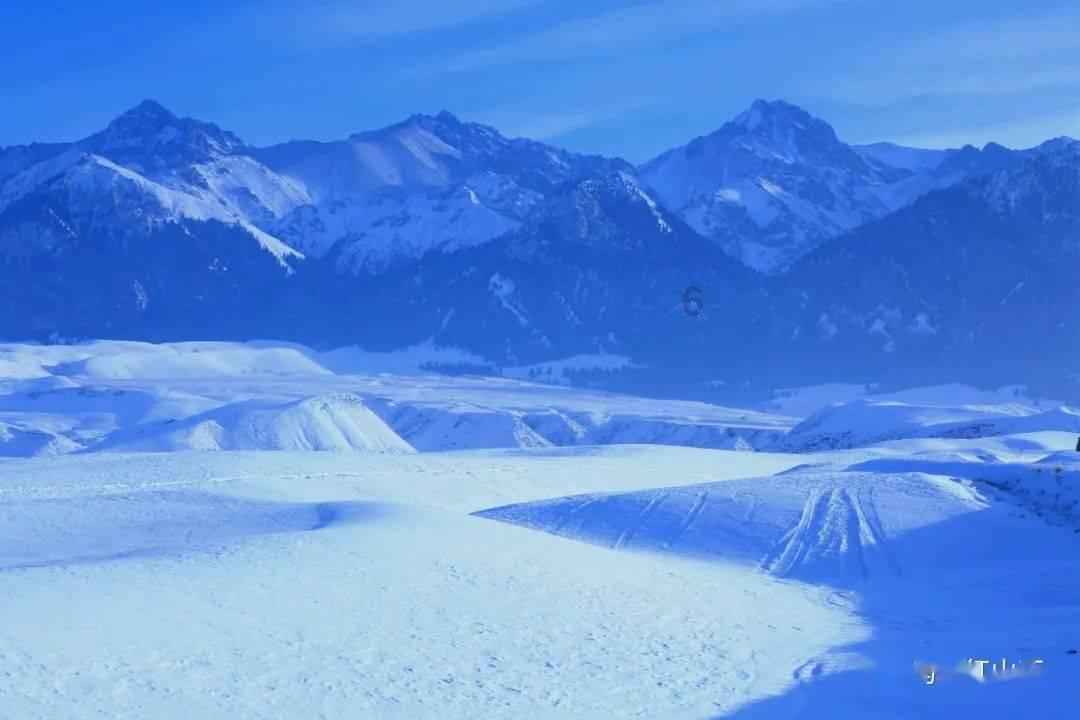 会计专硕值得读吗张雪峰游戏画面